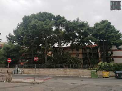 Nel quadrilatero compreso tra le attuali viale Einaudi, via Fanelli, via Palmieri e via Pavoncelli, si trovava invece la grande Villa Re David